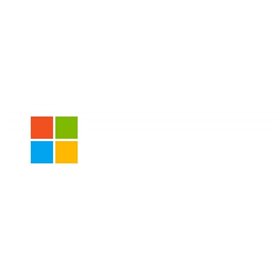 MS WS19 (4-CORE) STD ADD LIC EMEA SW