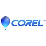 CorelDRAW Graphics Suite 2020 Single User Business License (Windows)