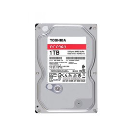 TS HDD 3.5 1TB SATA P300